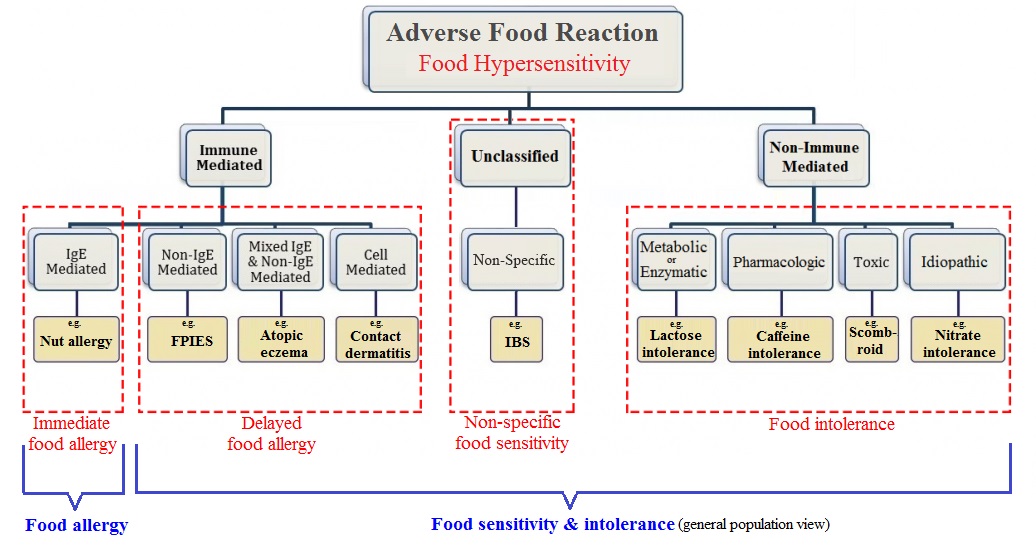 Food Hypersensitivity